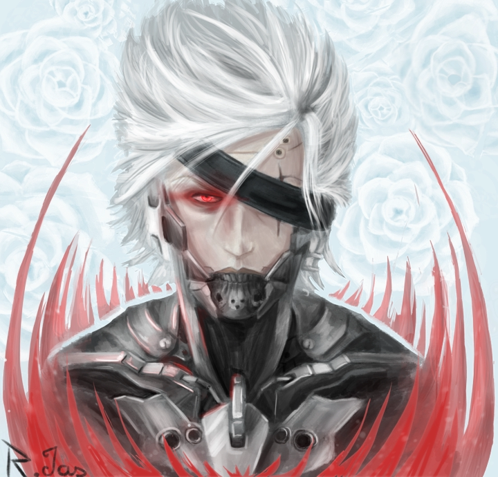 Raiden - MGR